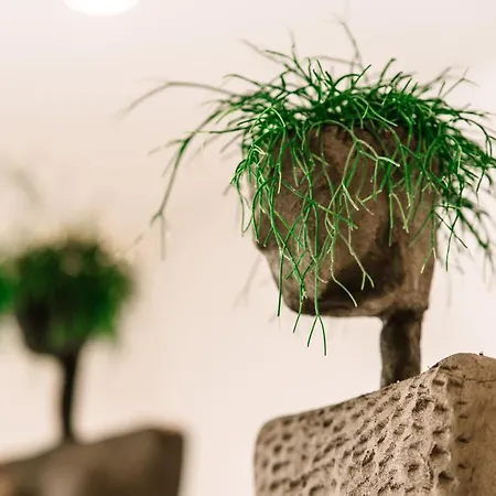 Loomz Living Self-check-in